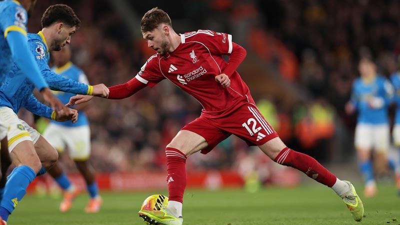 把热爱传给 把热爱传给